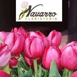 logo Floristeria Navarro