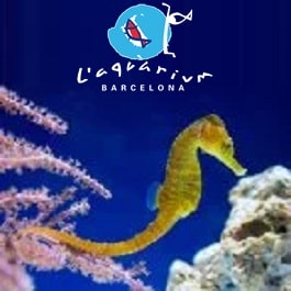 logo L'Aquàrium de Barcelona